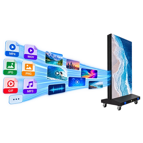 Multi-Format Media Support